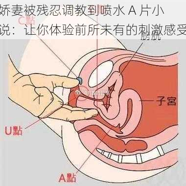 娇妻被残忍调教到喷水 A 片小说：让你体验前所未有的刺激感受