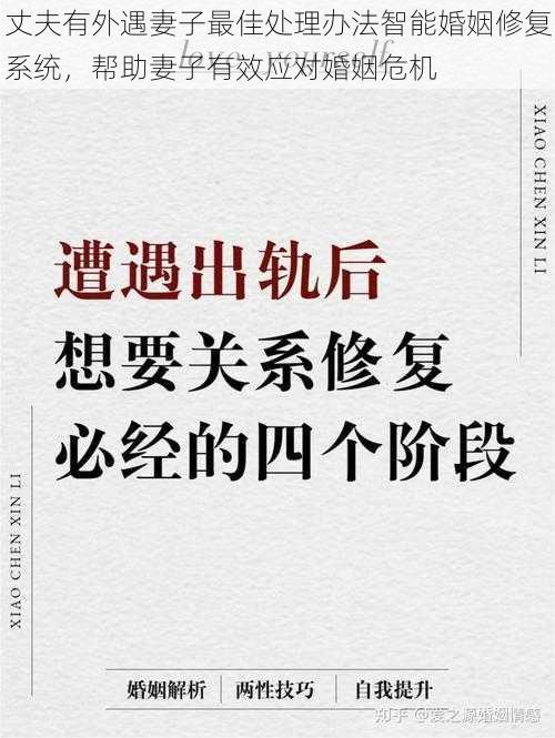 丈夫有外遇妻子最佳处理办法智能婚姻修复系统，帮助妻子有效应对婚姻危机