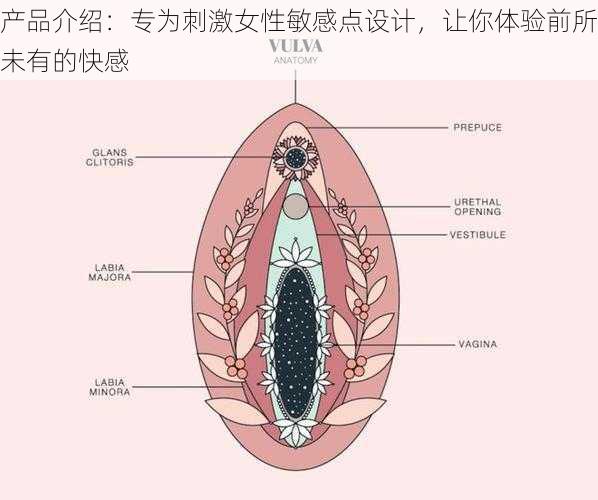 产品介绍：专为刺激女性敏感点设计，让你体验前所未有的快感