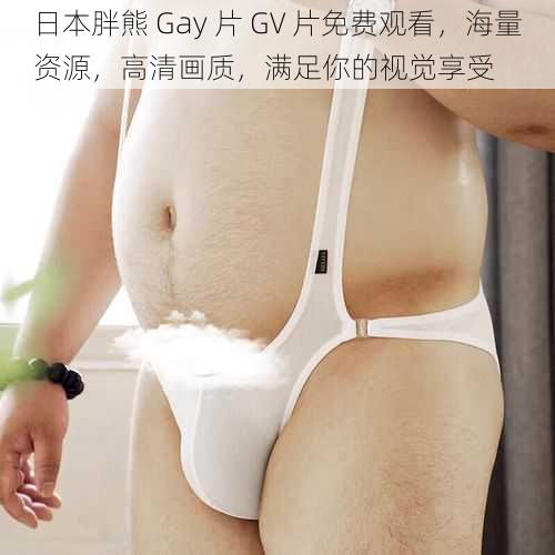 日本胖熊 Gay 片 GV 片免费观看，海量资源，高清画质，满足你的视觉享受