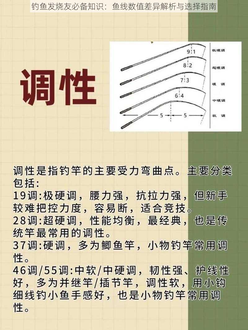 钓鱼发烧友必备知识：鱼线数值差异解析与选择指南