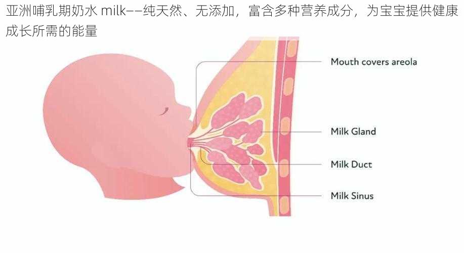 亚洲哺乳期奶水 milk——纯天然、无添加，富含多种营养成分，为宝宝提供健康成长所需的能量