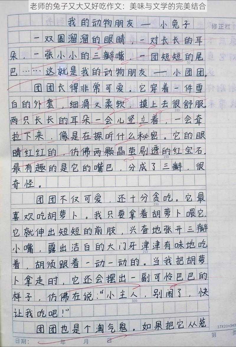 老师的兔子又大又好吃作文：美味与文学的完美结合