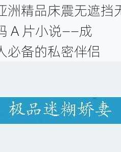 亚洲精品床震无遮挡无码 A 片小说——成人必备的私密伴侣