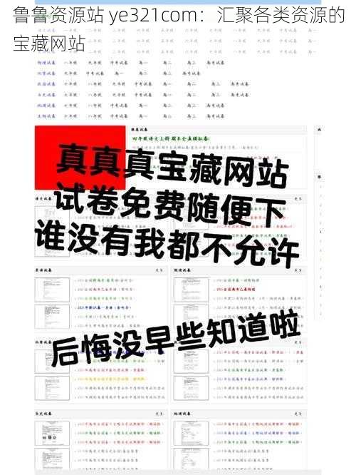 鲁鲁资源站 ye321com：汇聚各类资源的宝藏网站