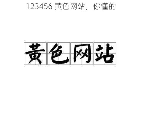 123456 黄色网站，你懂的