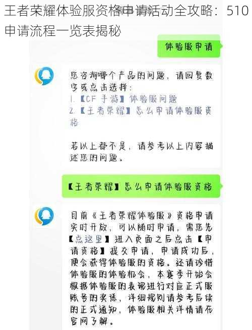 王者荣耀体验服资格申请活动全攻略：510申请流程一览表揭秘