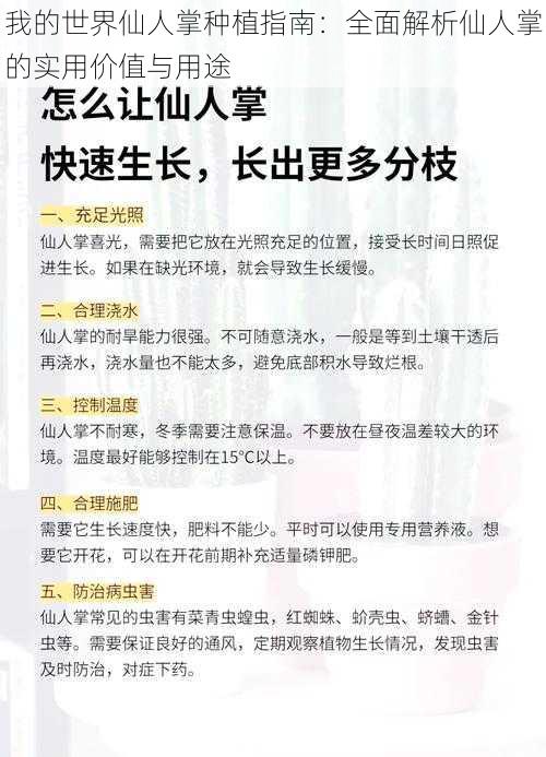 我的世界仙人掌种植指南：全面解析仙人掌的实用价值与用途