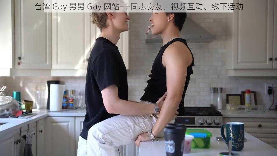 台湾 Gay 男男 Gay 网站——同志交友、视频互动、线下活动