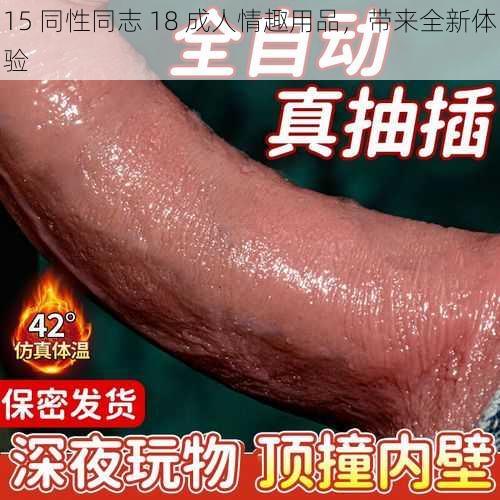 15 同性同志 18 成人情趣用品，带来全新体验