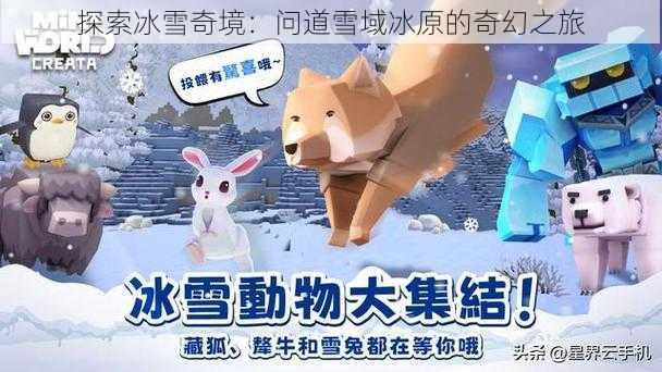 探索冰雪奇境：问道雪域冰原的奇幻之旅