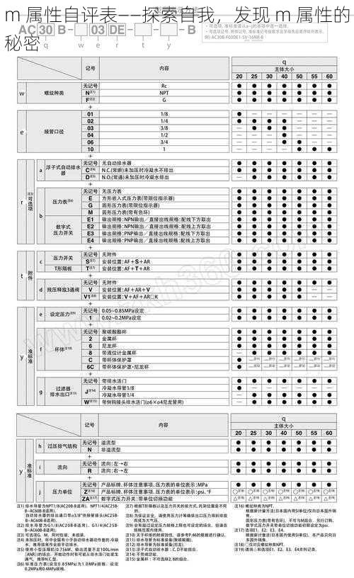 m 属性自评表——探索自我，发现 m 属性的秘密