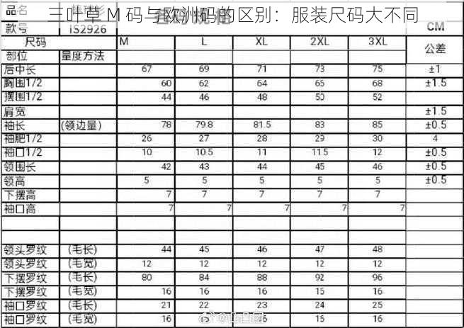 三叶草 M 码与欧洲码的区别：服装尺码大不同