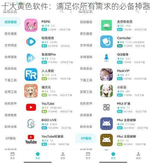 十大黄色软件：满足你所有需求的必备神器
