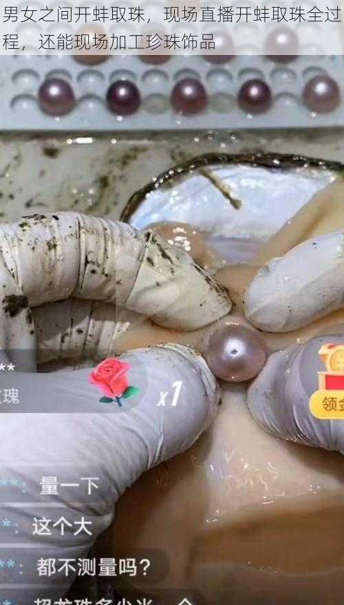 男女之间开蚌取珠，现场直播开蚌取珠全过程，还能现场加工珍珠饰品