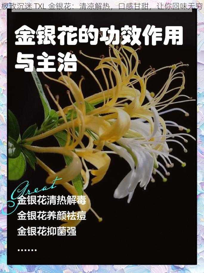 极致沉迷 TXL 金银花：清凉解热，口感甘甜，让你回味无穷