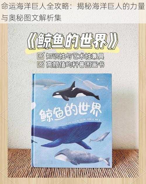 命运海洋巨人全攻略：揭秘海洋巨人的力量与奥秘图文解析集