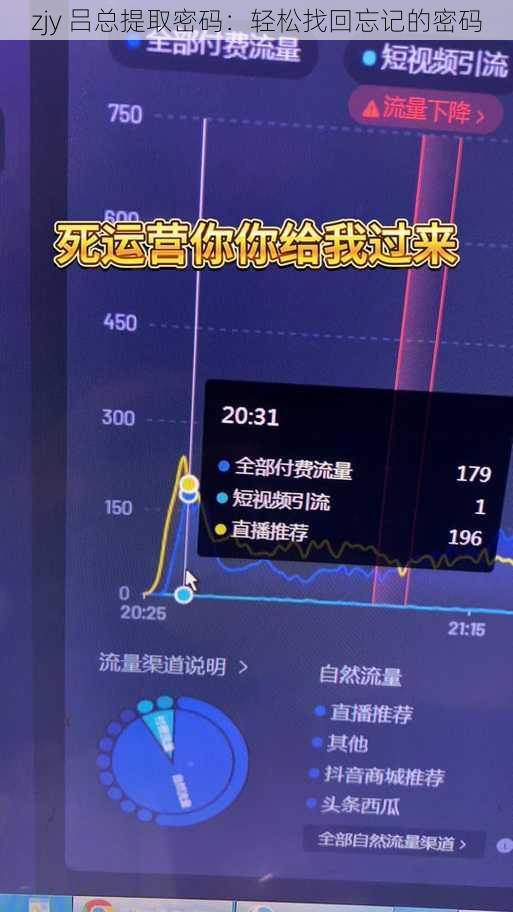 zjy 吕总提取密码：轻松找回忘记的密码