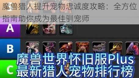 魔兽猎人提升宠物忠诚度攻略：全方位指南助你成为最佳驯宠师