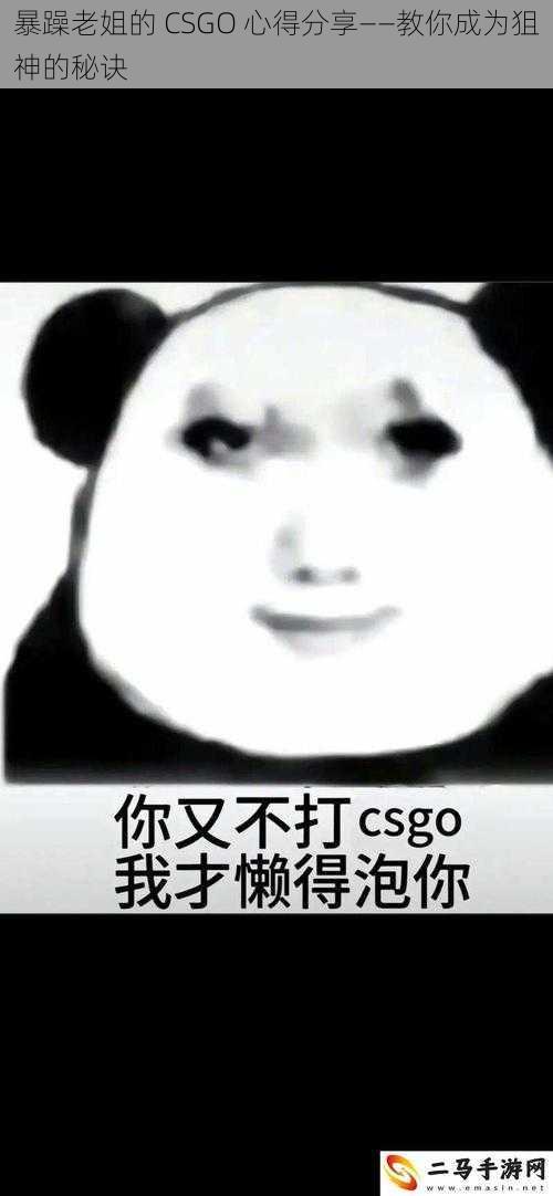 暴躁老姐的 CSGO 心得分享——教你成为狙神的秘诀