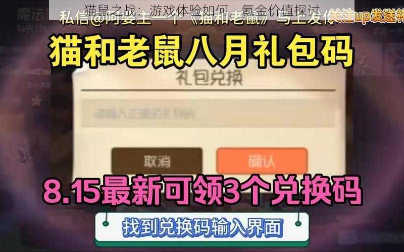 猫鼠之战：游戏体验如何，氪金价值探讨