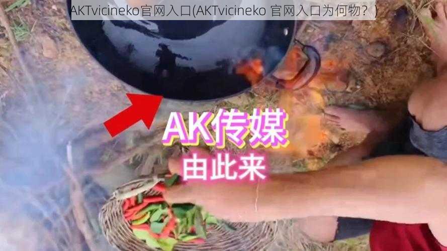 AKTvicineko官网入口(AKTvicineko 官网入口为何物？)