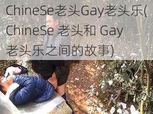 ChineSe老头Gay老头乐(ChineSe 老头和 Gay 老头乐之间的故事)