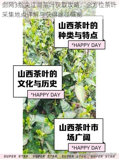 剑网3指尖江湖茶叶获取攻略：全方位茶叶采集地点详解与获得途径概览