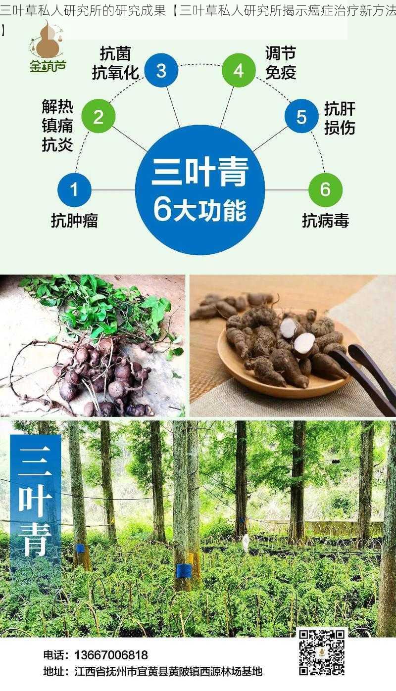 三叶草私人研究所的研究成果【三叶草私人研究所揭示癌症治疗新方法】