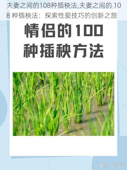 夫妻之间的108种插秧法,夫妻之间的 108 种插秧法：探索性爱技巧的创新之旅