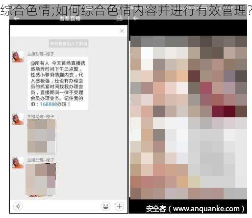 综合色情;如何综合色情内容并进行有效管理？