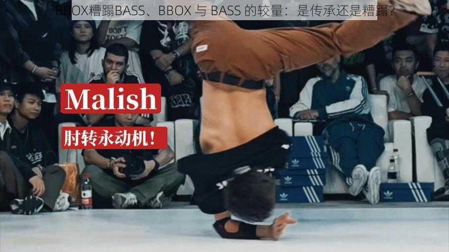 BBOX糟蹋BASS、BBOX 与 BASS 的较量：是传承还是糟蹋？