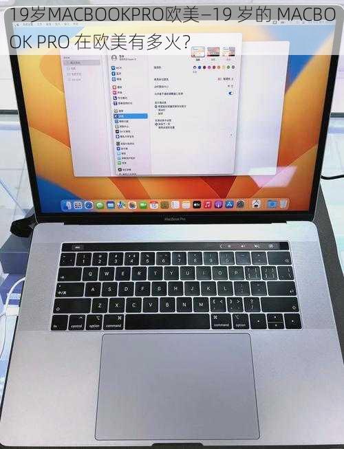 19岁MACBOOKPRO欧美—19 岁的 MACBOOK PRO 在欧美有多火？