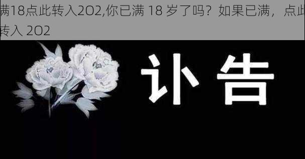 满18点此转入2O2,你已满 18 岁了吗？如果已满，点此转入 2O2