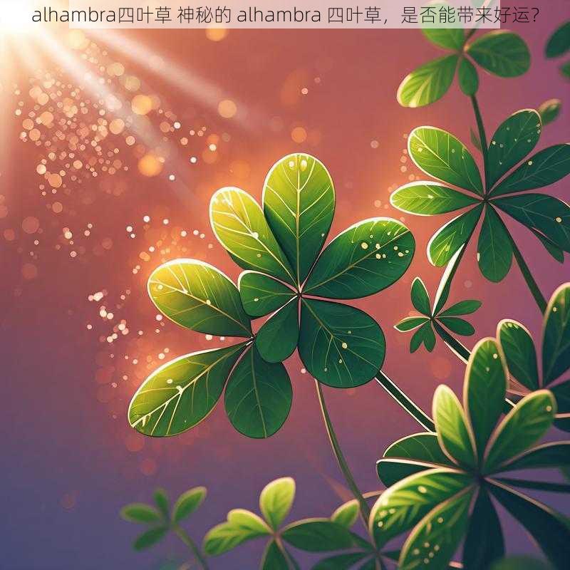 alhambra四叶草 神秘的 alhambra 四叶草，是否能带来好运？