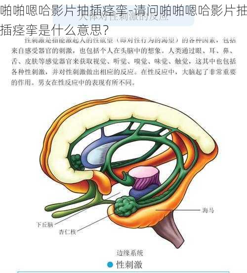 啪啪嗯哈影片抽插痉挛-请问啪啪嗯哈影片抽插痉挛是什么意思？