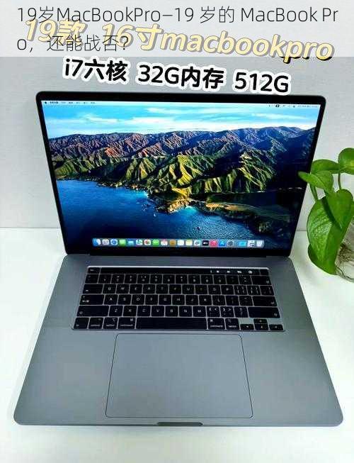 19岁MacBookPro—19 岁的 MacBook Pro，还能战否？