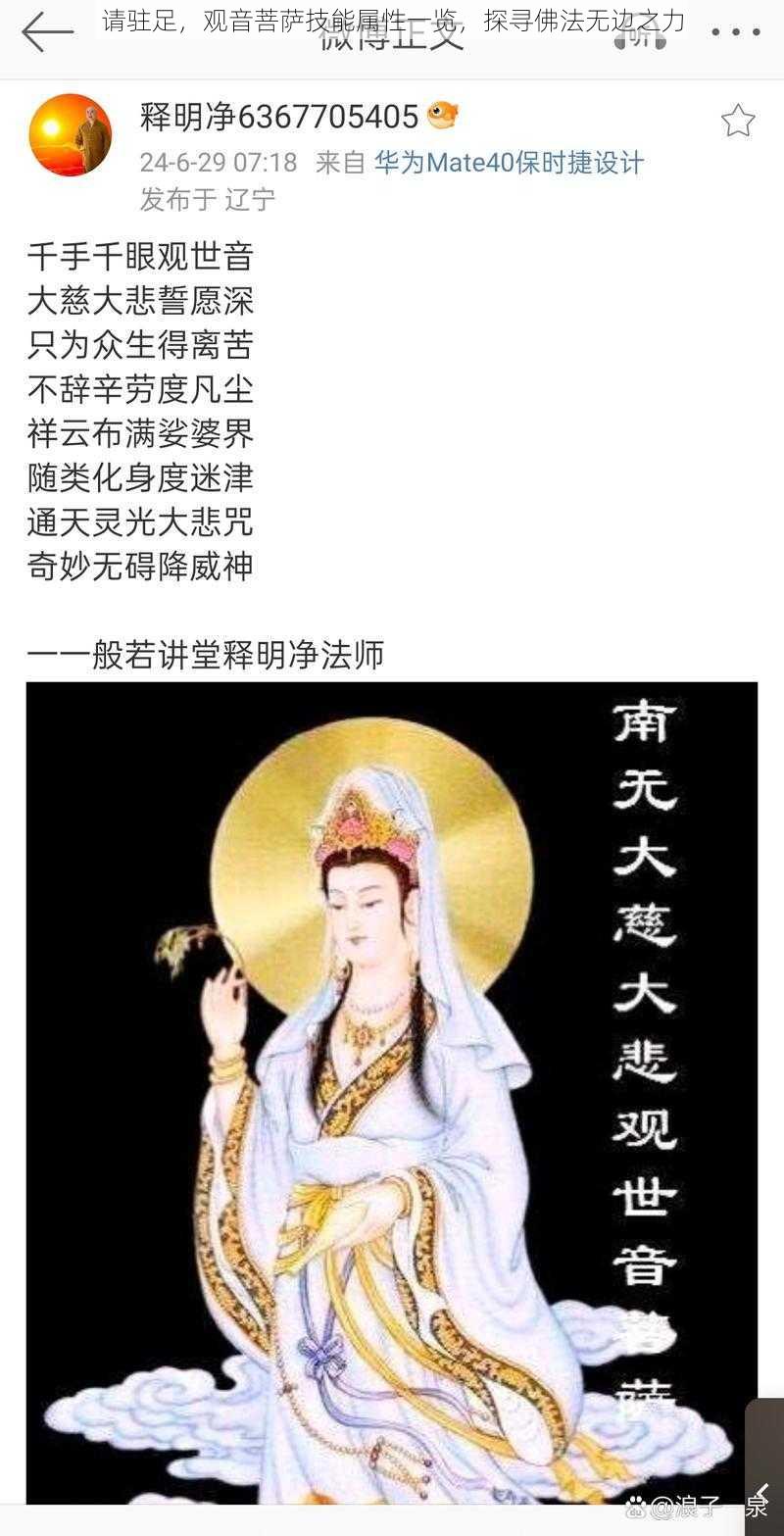 请驻足，观音菩萨技能属性一览，探寻佛法无边之力