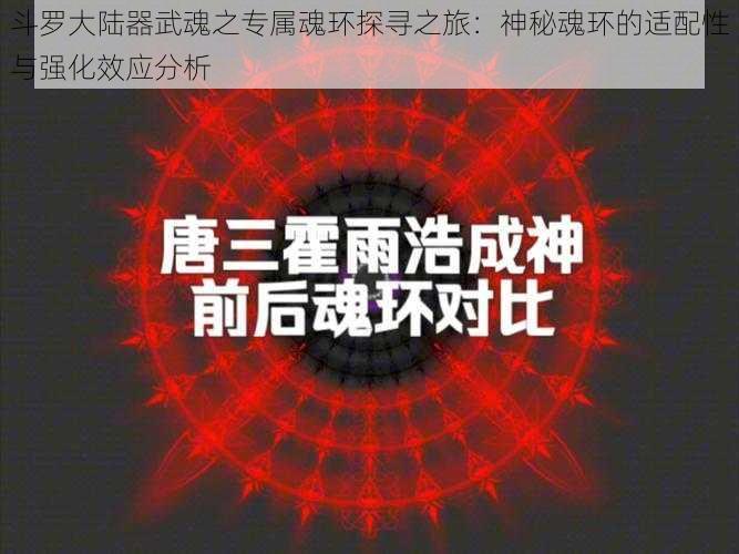 斗罗大陆器武魂之专属魂环探寻之旅：神秘魂环的适配性与强化效应分析