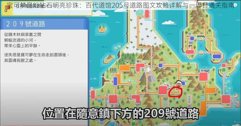 宝可梦晶灿钻石明亮珍珠：百代道馆205号道路图文攻略详解与一周目通关指南