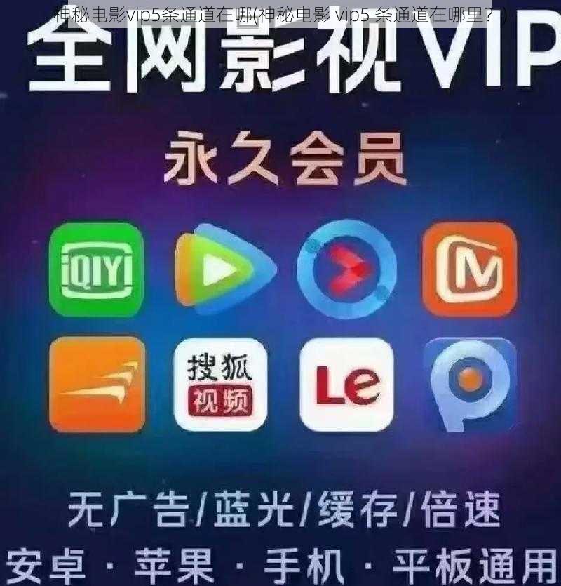 神秘电影vip5条通道在哪(神秘电影 vip5 条通道在哪里？)