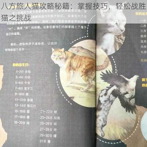 八方旅人猫攻略秘籍：掌握技巧，轻松战胜猫之挑战