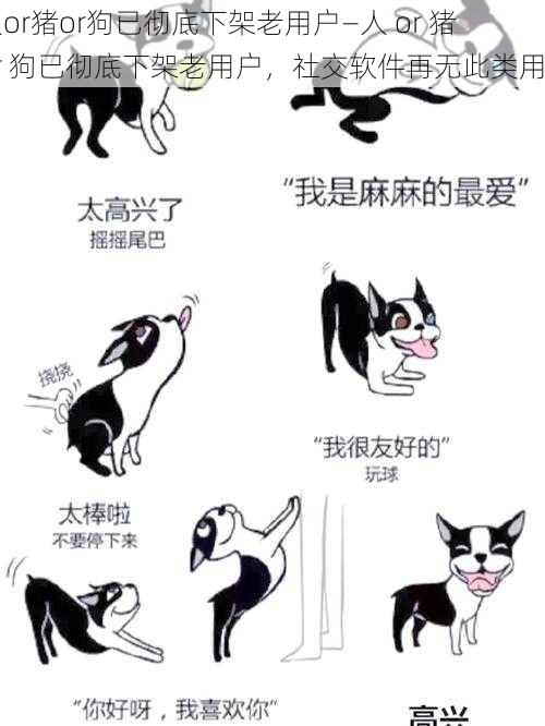 人or猪or狗已彻底下架老用户—人 or 猪 or 狗已彻底下架老用户，社交软件再无此类用户