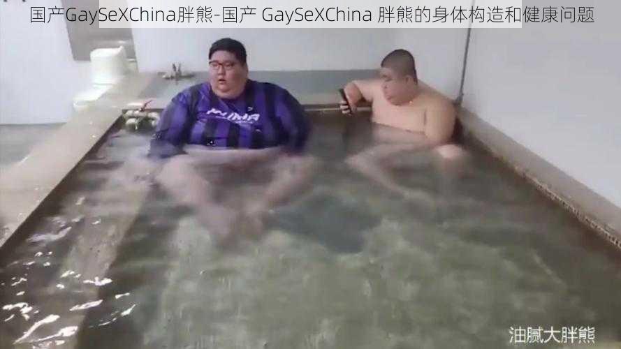 国产GaySeXChina胖熊-国产 GaySeXChina 胖熊的身体构造和健康问题