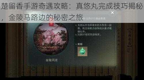 楚留香手游奇遇攻略：真悠丸完成技巧揭秘，金陵马路边的秘密之旅