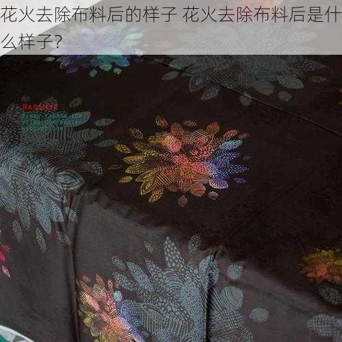 花火去除布料后的样子 花火去除布料后是什么样子？