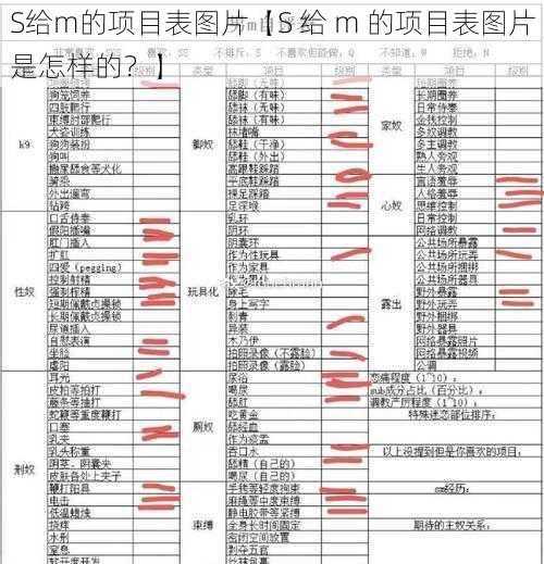 S给m的项目表图片【S 给 m 的项目表图片是怎样的？】