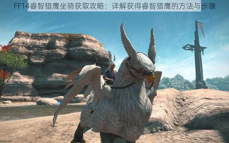 FF14睿智猎鹰坐骑获取攻略：详解获得睿智猎鹰的方法与步骤