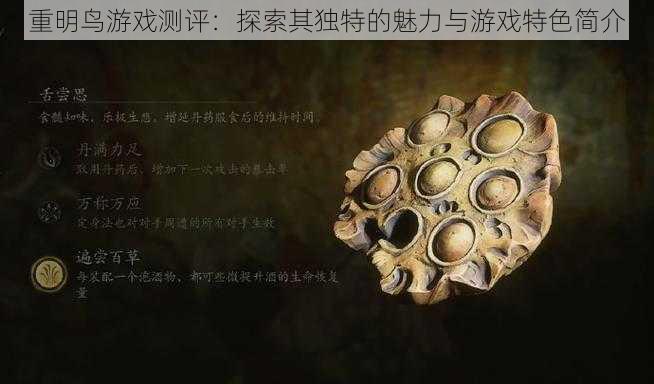 重明鸟游戏测评：探索其独特的魅力与游戏特色简介