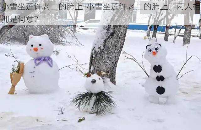 小雪坐莲许老二的胯上-小雪坐莲许老二的胯上，两人相拥是何意？